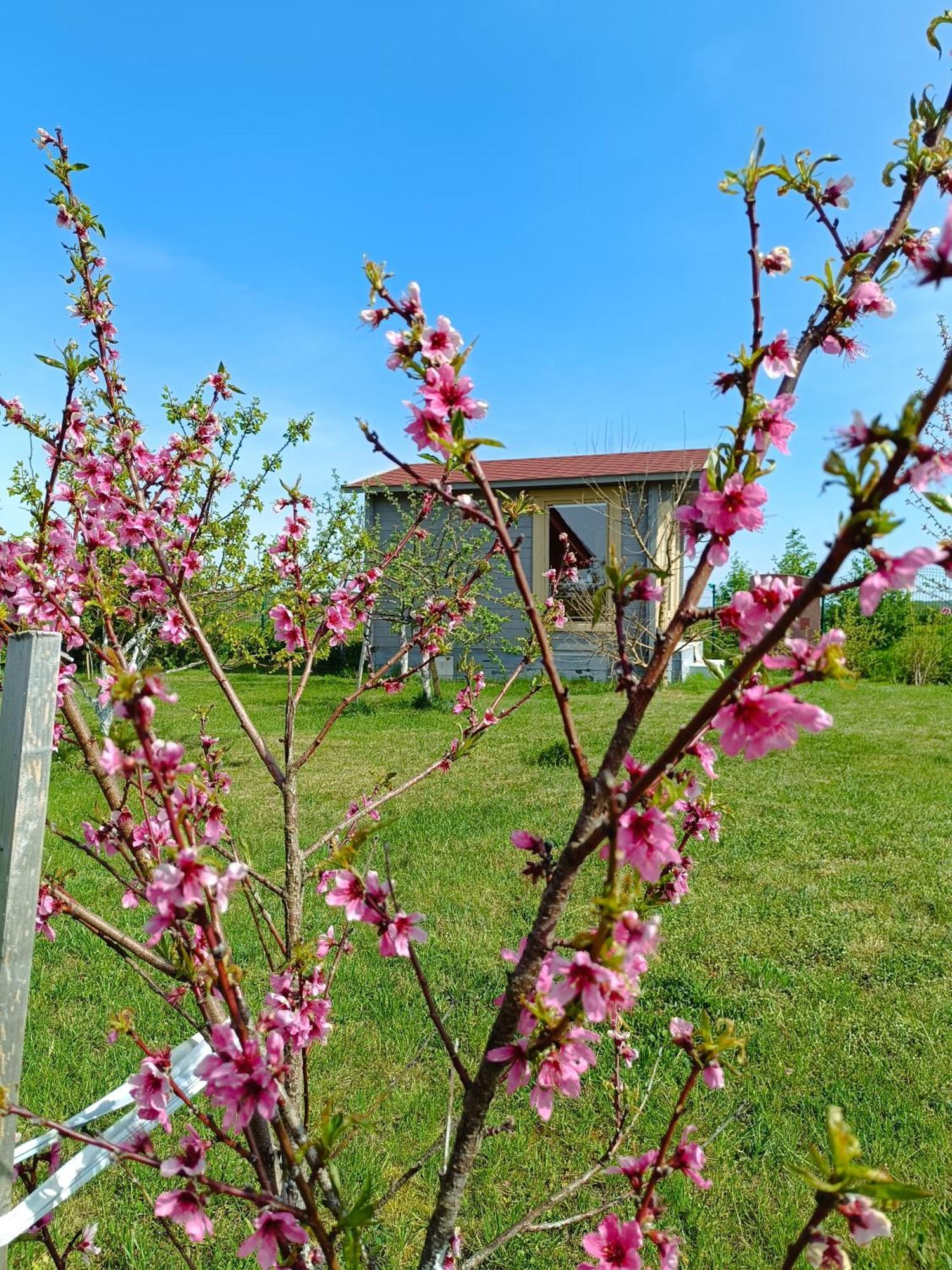 Namelis Karkleje Villa Exteriör bild