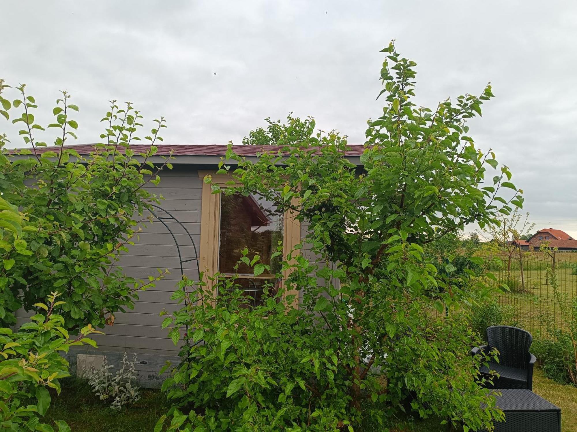 Namelis Karkleje Villa Exteriör bild